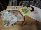 MOTT THE HOOPLE SAME LP IN 1969 UK 1ST PINK ISLAND PRESS