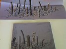 Shine a Light [LP] by Constantines (Vinyl, Aug-2003, Sub Pop Records USA)