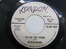 THE BLUE ORCHIDS I've Got That Feeling LONDON Girl Group KINKS SHEL TALMY PROMO
