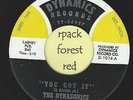 THE DYNASONICS - You Got It  - DYNAMICS - Detroit Funk  7