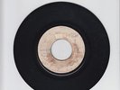 BLANK(RSIS )WHAT A HARD TIME -  RAPHAEL STEWART  ( 75 REGGAE 7