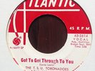The TSU Toronadoes - 