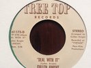 Rare Private-Press Jazz /Funk 45- Cullen Knight 