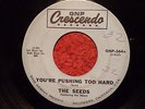 The Seeds- You're Pushing Too Hard/ Out Of The Question 45 RPM Rare 1st Issue