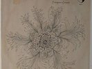 Gunter Hampel & His Galaxie Dream Band - Unity Dance LP- Birth - Free Jazz VG++