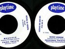 BERRY WINDOW - PREISTORIA, PREISTORIA - PLAYTIME - PROMO JB
