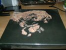 The Pixies Death To The Pixies boxed set vinyl limited edition NEW sealed rare