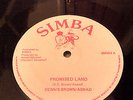 DENNIS BROWN / ASWAD - PROMISED LAND - Killer ROOTS 12