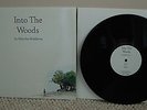 MALCOLM MIDDLETON Into The Woods vinyl record album Arab Strap Mogwai