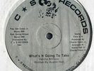 hear: VANILLA BRINSON What's It Going To Take modern/boogie 12