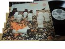 CRESSIDA ASYLUM SWIRL VERTIGO  1°PRESS DEUTCH PROG.