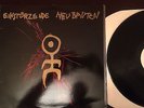 Einsturzende Neubauten Strategies Against Architecture 80-83 LP (HMS 063) VG+