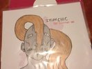 IRON CHIC- 
