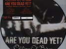 Children Of Bodom - Are you dead yet ? Vinyl US LP