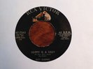 ROY GAINES Skippy Is a Sissy on RCA Rockabilly 45 Hear