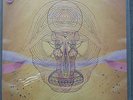 DEVENDRA BANHART rare vinyl of What Will Be 2xLP w/ g/fold sleeve - mint condtn