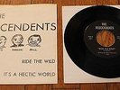 THE DESCENDENTS Ride the Wild 7