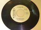 DETROIT GARAGE BAND 45 RPM RECORD - THE HUMAN BEINGS - IMPACT - PROMO