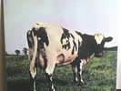 Pink Floyd-Atom Heart Mother-Rare MFSL Audiophile 200 GM LP-Near Mint  #1910