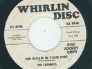 Doo Wop Classic - The Channels The gleam in your eyes / Stars in the sky  (VG+)