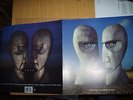 PINK FLOYD - The division bell               UK clear vinyl LP