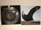 PINK FLOYD High Hopes Keep Talking 7