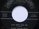 Rare Sweet Soul / Funk 45 - Reggie Saddler Revue - Just Wait And See - AQUARIUS