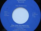 Rare Modern Sweet Soul 45 - Sandells - Stay Just One More Day - SANDELLVILLE mp3