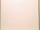 Green Day American Idiot 2LP RTI Test Pressing NEW Vinyl
