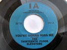 THIRTEENTH FLOOR ELEVATORS - YOU'RE GONNA MISS ME 7