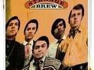 ?THE BREW: A Very Strange Brew? 1969 DJ-PROMO Stereo ABC LP ? PSYCHedelic trip