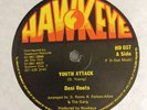 DESI ROOTS / TALENT INC - youth attack b/w mobilization / victory - HAWKEYE