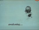 THE THIRD EYE  ULTA RARE   SOUTH AFRICA  PROG  LP  AWAKENING.....