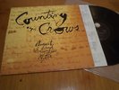 COUNTING CROWS  AUGUST AND EVERYTHING AFTER org 1993 HOLLAND LP  rare press