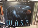 WASP W.A.S.P STILL NOT BLACK ENOUGH RARE LP LIMITED EDITION 1583/3000 ENGLAND 95
