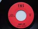 HEAR TNS Grand Rapids Michigan garage band 45 RARE Time's up Vinyl LOOK