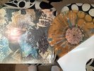 Converge LP Pig Destroyer agoraphobic nosebleed grind, powerviolence