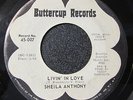 Sheila Anthony 45 BUTTERCUP PROMO Livin In Love FUNK NORTHERN SOUL LISTEN