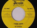 NUTMEGS: Comin' Home / A Love So True 45 rare Vocal Groups