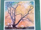 FAMILY TREE we shall see him as he is LP on CHERI  gospel disco funk SEALED
