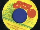 1076 GLEN RICKETTS-DOES IT REALLY MATTER-ONE MAN BAND-SCR-REGGAE 45 7