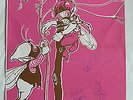 PINK FAIRIES  AUTOGRAPHED 'NEVER NEVER LAND'  1971 ORIGINAL LP  POLYDOR 2383 045
