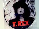 T.REX The Slider VINYL PICTURE LP New/Sealed Marc Bolan Telegram Sam Metal Guru