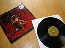 Afghan Whigs - Congregation - Vinyl LP