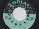 Northern Soul 45 - Ruby Andrews - Just Loving You - Zodiac - mp3