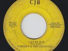 Funk 45 - Carleen & The Groovers - Can We Rap - CJB - mp3 - breaks/rare