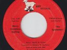 Modern Soul Funk 45 - Spectators - Merry Christmas Darling - Mary -mp3- obscure