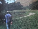Neil Young - Old Ways MFSL Limited Edition Nr.1936 - Top 