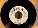 Plastic Blues Band -Country Food -Busy B Rec -DJ PROMO 45-Garage Punk-Pebbles-FL