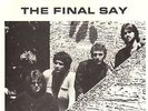 THE FINAL SAY - Miami POWER POP Private Press 45 + PIC INSERT Think Hard - HEAR